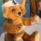 Best Vessels for a Teddy Bear Picnic Adventure | Teddy Information – Everything You Need to Know About Teddy Bears