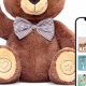 Interactive Teddy | Teddy Information – Everything You Need to Know About Teddy Bears