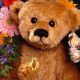Cuddly Teddy Bears & Romantic Flowers Delivery | Teddy Information – Everything You Need to Know About Teddy Bears