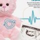 Best Teddy Bears with Heartbeat: Top Comfort Picks | Teddy Information – Everything You Need to Know About Teddy Bears