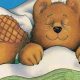 Classic Teddy Bear Books for Kids | Teddy Information – Everything You Need to Know About Teddy Bears