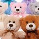 Adorable Cheap Teddy Bears: Budget-Friendly Cuddles | Teddy Information – Everything You Need to Know About Teddy Bears