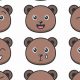 Adorable Teddy Bear Faces: A Closer Look | Teddy Information – Everything You Need to Know About Teddy Bears