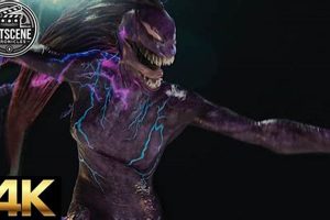 Meet Teddy Payne: A Marvel Fan Creation | Teddy Information – Everything You Need to Know About Teddy Bears