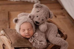 Newborn Teddy Bear Costume | Teddy Information – Everything You Need to Know About Teddy Bears