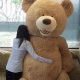 Giant 8ft Teddy Bears: Huge Plush Toys | Teddy Information – Everything You Need to Know About Teddy Bears