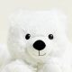 Cozy Teddy Bear Warmie for Comfort | Teddy Information – Everything You Need to Know About Teddy Bears