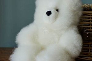 Fur Teddy Bear | Teddy Information – Everything You Need to Know About Teddy Bears