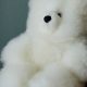 Fur Teddy Bear | Teddy Information – Everything You Need to Know About Teddy Bears