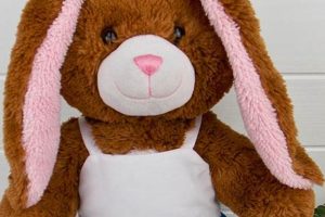 Cozy Teddy Bear Tops & Jackets: Stay Warm & Trendy | Teddy Information – Everything You Need to Know About Teddy Bears