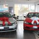 Teddy Volkswagen: Your Bronx VW Dealer | Teddy Information – Everything You Need to Know About Teddy Bears