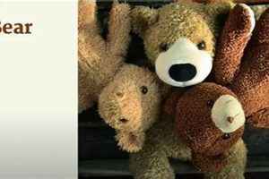 Cuddly & Unique Teddy Bear Names for Boys Teddy Information – Everything You Need to Know About Teddy Bears Cuddly & Unique Teddy Bear Names for Boys | Teddy Information – Everything You Need to Know About Teddy Bears
