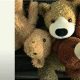 Cuddly & Unique Teddy Bear Names for Boys | Teddy Information – Everything You Need to Know About Teddy Bears