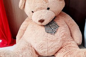 Soft & Huggable Teddy Bears for Sale | Teddy Information – Everything You Need to Know About Teddy Bears