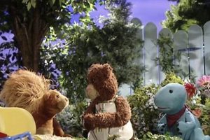 Caillou's Teddy Bear: Comfort & Play | Teddy Information – Everything You Need to Know About Teddy Bears