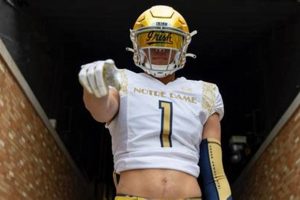 Meet Teddy Rezac: Artist & Innovator Teddy Information – Everything You Need to Know About Teddy Bears Meet Teddy Rezac: Artist & Innovator | Teddy Information – Everything You Need to Know About Teddy Bears