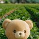 Cuddly Teddy Berry Plush Toys for Kids | Teddy Information – Everything You Need to Know About Teddy Bears