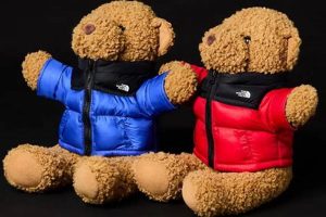 Cute North Face Teddy Bear Plush & Toys Teddy Information – Everything You Need to Know About Teddy Bears Cute North Face Teddy Bear Plush & Toys | Teddy Information – Everything You Need to Know About Teddy Bears