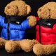 Cute North Face Teddy Bear Plush &amp; Toys | Teddy Information – Everything You Need to Know About Teddy Bears