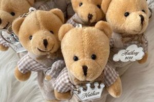 Cute Teddy Bear Favors for Special Events | Teddy Information – Everything You Need to Know About Teddy Bears