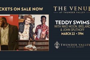 Brave Teddy Swims Thunder Valley: A Journey | Teddy Information – Everything You Need to Know About Teddy Bears