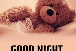 Romantic Good Night Teddy Bear Teddy Information – Everything You Need to Know About Teddy Bears Romantic Good Night Teddy Bear | Teddy Information – Everything You Need to Know About Teddy Bears