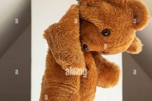 Hanging Teddy Bears: Guide &amp; Safety Tips | Teddy Information – Everything You Need to Know About Teddy Bears