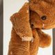 Hanging Teddy Bears: Guide &amp; Safety Tips | Teddy Information – Everything You Need to Know About Teddy Bears