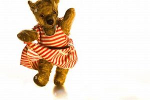 Adorable Dancing Teddy Bears: Shop Now Teddy Information – Everything You Need to Know About Teddy Bears Adorable Dancing Teddy Bears: Shop Now | Teddy Information – Everything You Need to Know About Teddy Bears