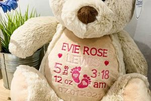 Personalized Custom Teddy Bears Online | Teddy Information – Everything You Need to Know About Teddy Bears