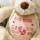 Personalized Custom Teddy Bears Online | Teddy Information – Everything You Need to Know About Teddy Bears