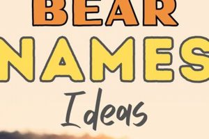 Top Male Teddy Bear Names: Cuddly to Cool Teddy Information – Everything You Need to Know About Teddy Bears Top Male Teddy Bear Names: Cuddly to Cool | Teddy Information – Everything You Need to Know About Teddy Bears