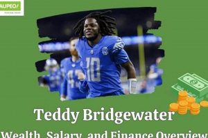 Teddy Bridgewater's NFL Salary & Contract Details | Teddy Information – Everything You Need to Know About Teddy Bears