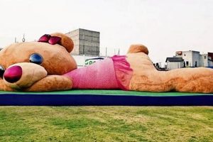 Giant Teddy Bears: Biggest Plush Toys Ever! | Teddy Information – Everything You Need to Know About Teddy Bears