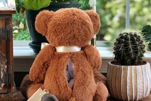 Personalized Teddy Bear Urns for Comforting Remembrance Teddy Information – Everything You Need to Know About Teddy Bears Personalized Teddy Bear Urns for Comforting Remembrance | Teddy Information – Everything You Need to Know About Teddy Bears
