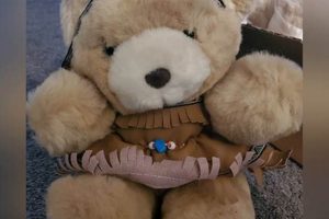 My Precious Teddy Bear: A Timeless Gift | Teddy Information – Everything You Need to Know About Teddy Bears