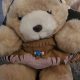 My Precious Teddy Bear: A Timeless Gift | Teddy Information – Everything You Need to Know About Teddy Bears