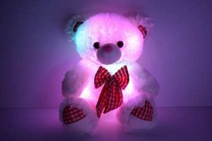 Cute Teddy Bear Light Up Toys for Kids | Teddy Information – Everything You Need to Know About Teddy Bears