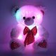 Cute Teddy Bear Light Up Toys for Kids | Teddy Information – Everything You Need to Know About Teddy Bears