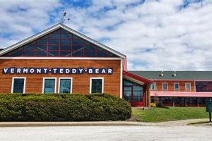 Inside the Teddy Bear Factory: A Plush Journey | Teddy Information – Everything You Need to Know About Teddy Bears