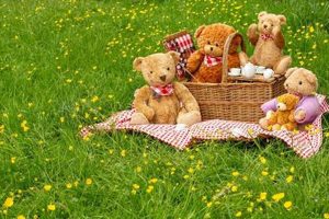 Celebrate Teddy Bear Picnic Day with Fun! | Teddy Information – Everything You Need to Know About Teddy Bears