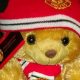 Cuddly Man Utd Teddy Bears: Soft & Plush Toys | Teddy Information – Everything You Need to Know About Teddy Bears