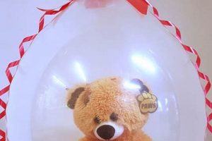 Balloons Teddy Bear Inside | Teddy Information – Everything You Need to Know About Teddy Bears