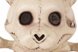 Cute Bone Teddy Bears: Anatomy Models & Toys | Teddy Information – Everything You Need to Know About Teddy Bears