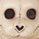 Cute Bone Teddy Bears: Anatomy Models & Toys | Teddy Information – Everything You Need to Know About Teddy Bears