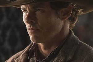 Comforting Kids: The Teddy Flood Phenomenon | Teddy Information – Everything You Need to Know About Teddy Bears