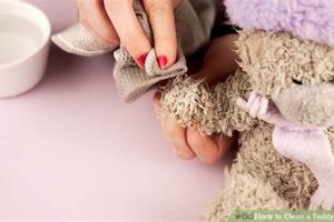 The Ultimate Guide to Cleaning Teddy Bears | Teddy Information – Everything You Need to Know About Teddy Bears