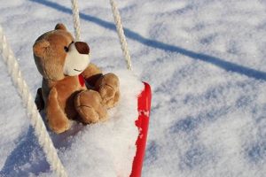 The Wonders of Teddy Snow: A Winter Guide | Teddy Information – Everything You Need to Know About Teddy Bears