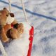 The Wonders of Teddy Snow: A Winter Guide | Teddy Information – Everything You Need to Know About Teddy Bears