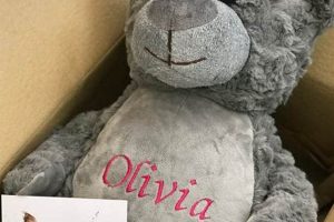 Cuddly Personalized Teddy Bears with Embroidered Names | Teddy Information – Everything You Need to Know About Teddy Bears